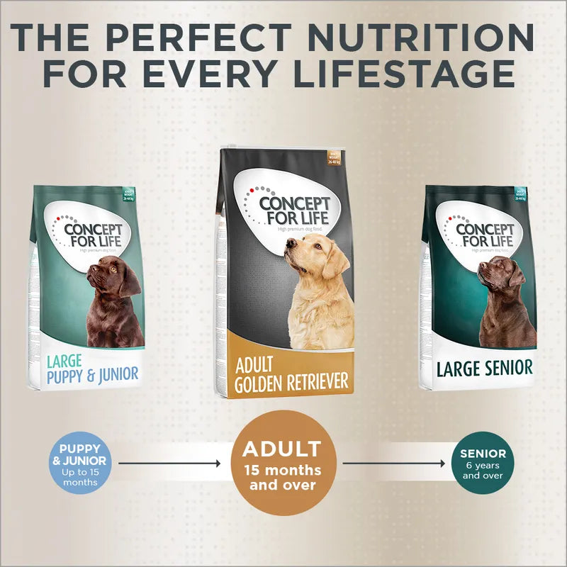 Concept for Life Golden Retriever Adult