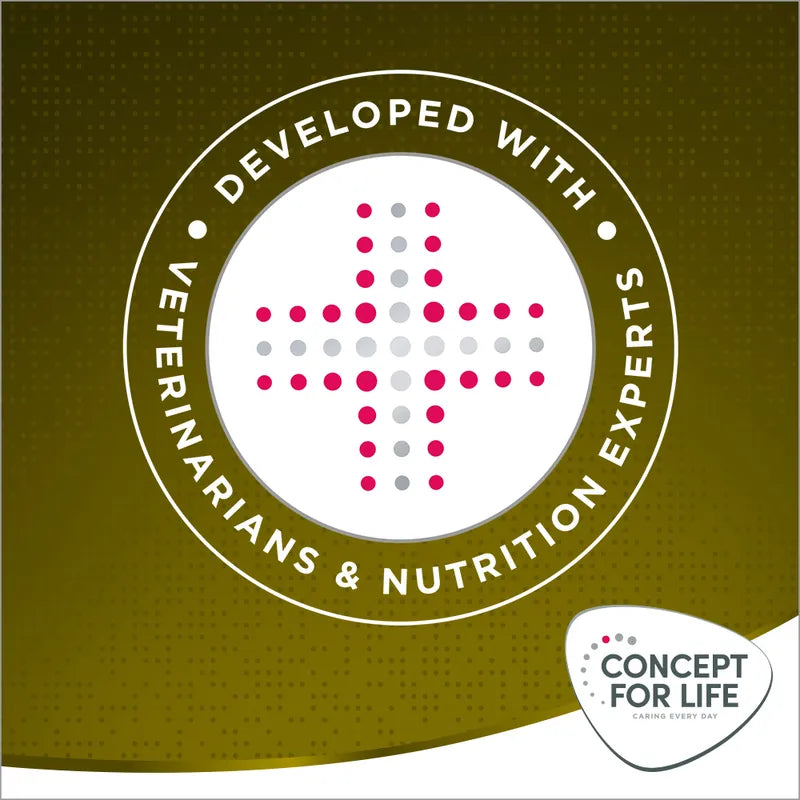 Concept for Life Mini Senior