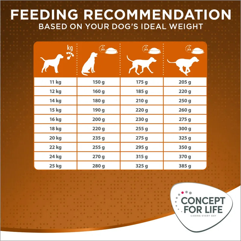 Concept for Life Medium Adult