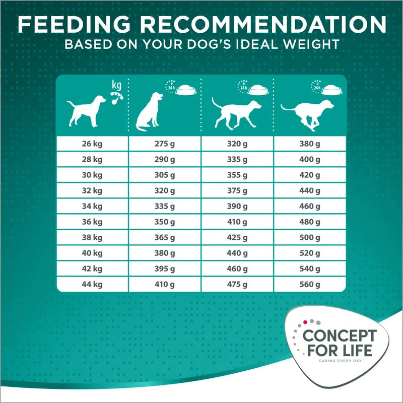 Concept for Life Large Adult