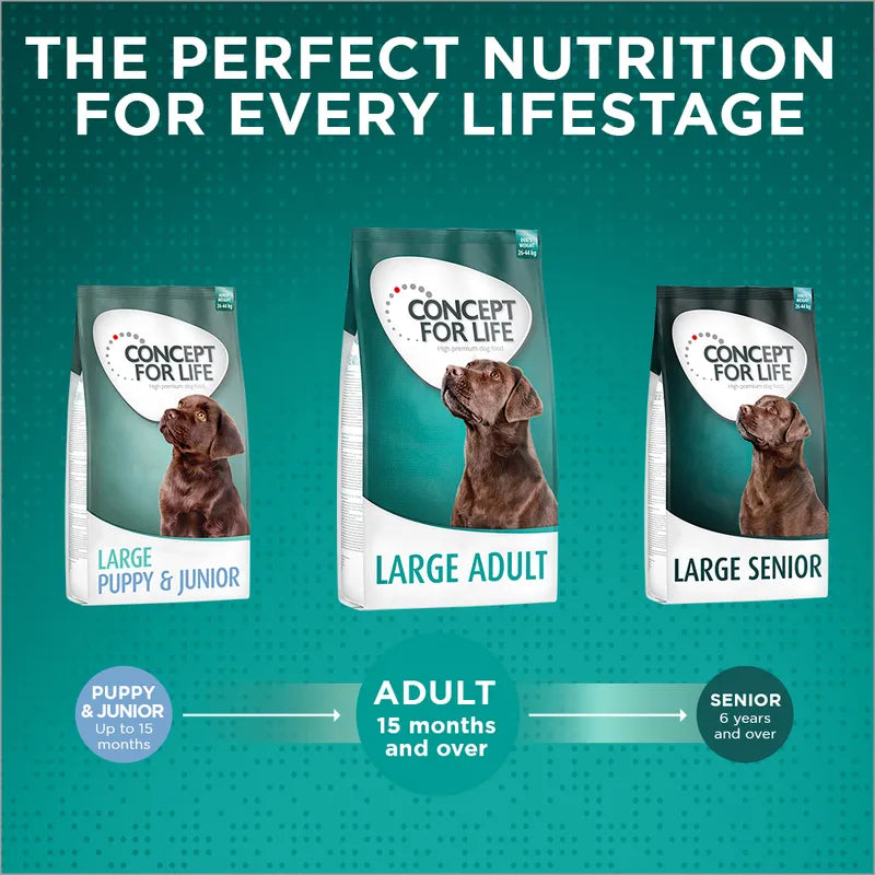 Concept for Life Large Adult