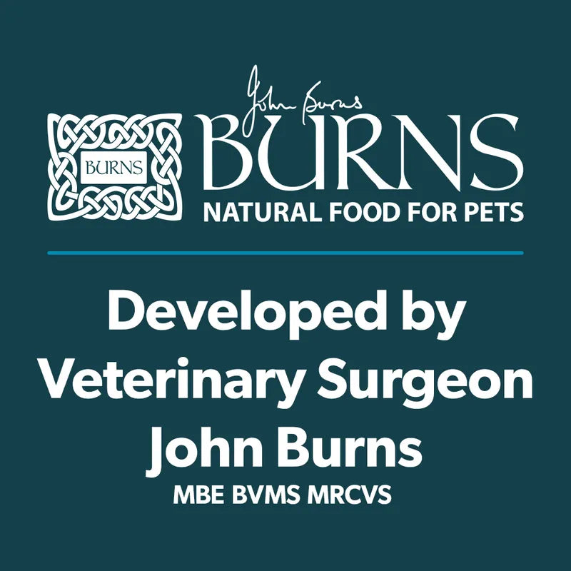 Burns Senior+ Toy & Small Breed - Chicken & Brown Rice