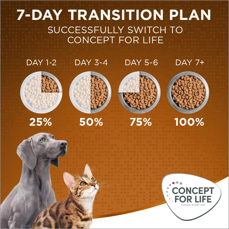 Concept for Life Medium Adult