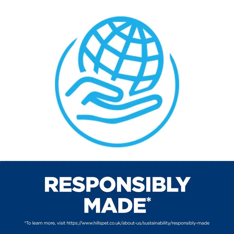 Hill's Prescription Diet Derm Complete with Rice & Egg