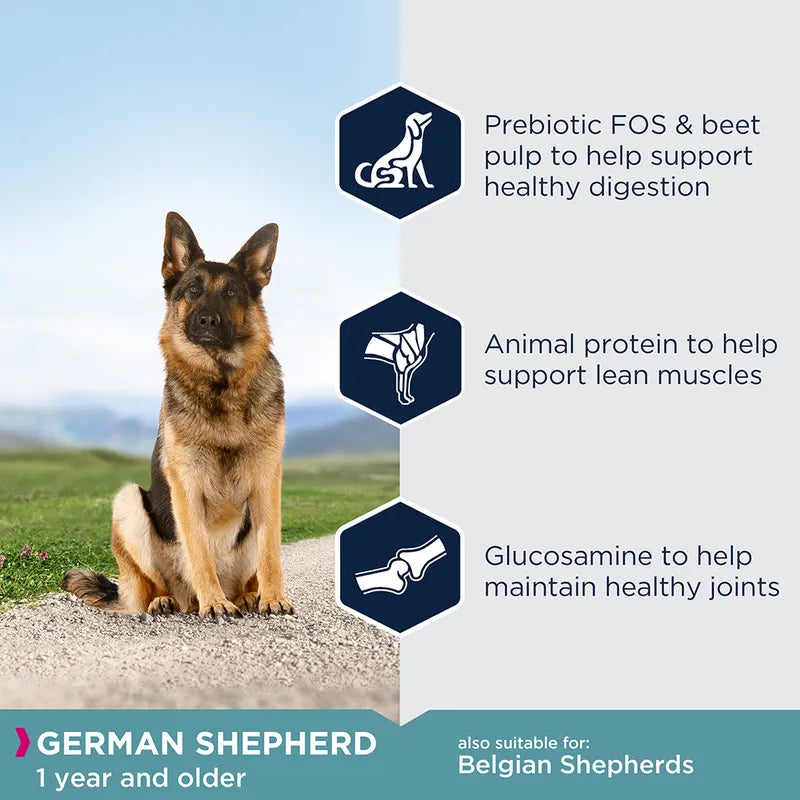 Eukanuba German Shepherd Adult