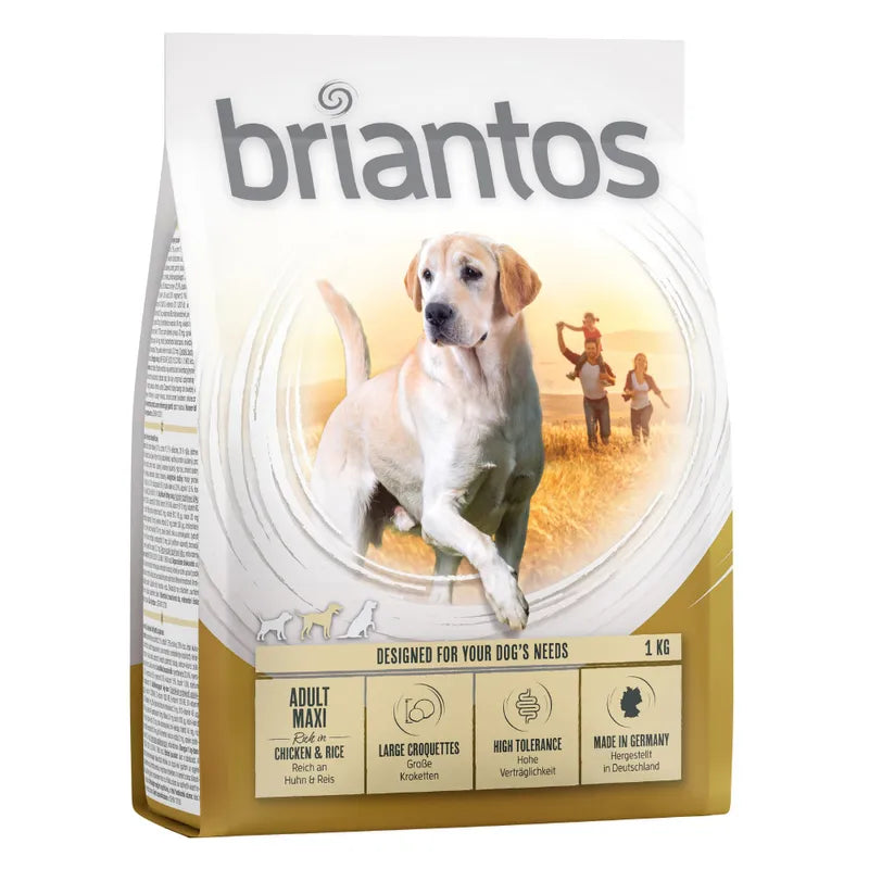 Briantos Maxi Adult