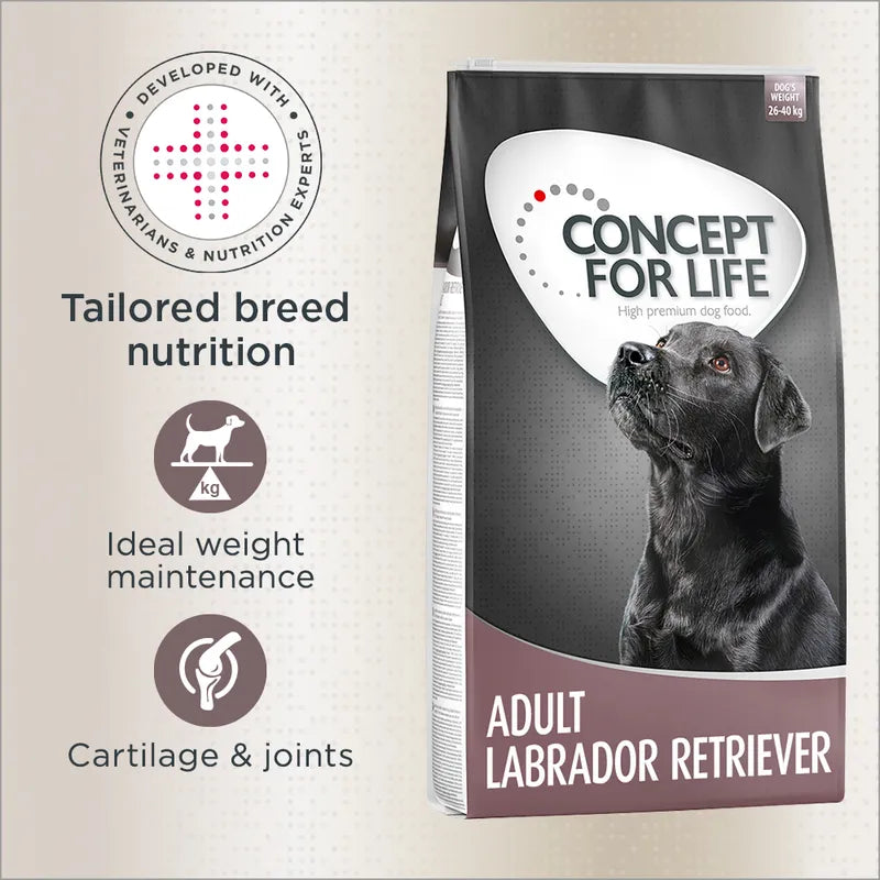 Concept for Life Labrador Retriever Adult