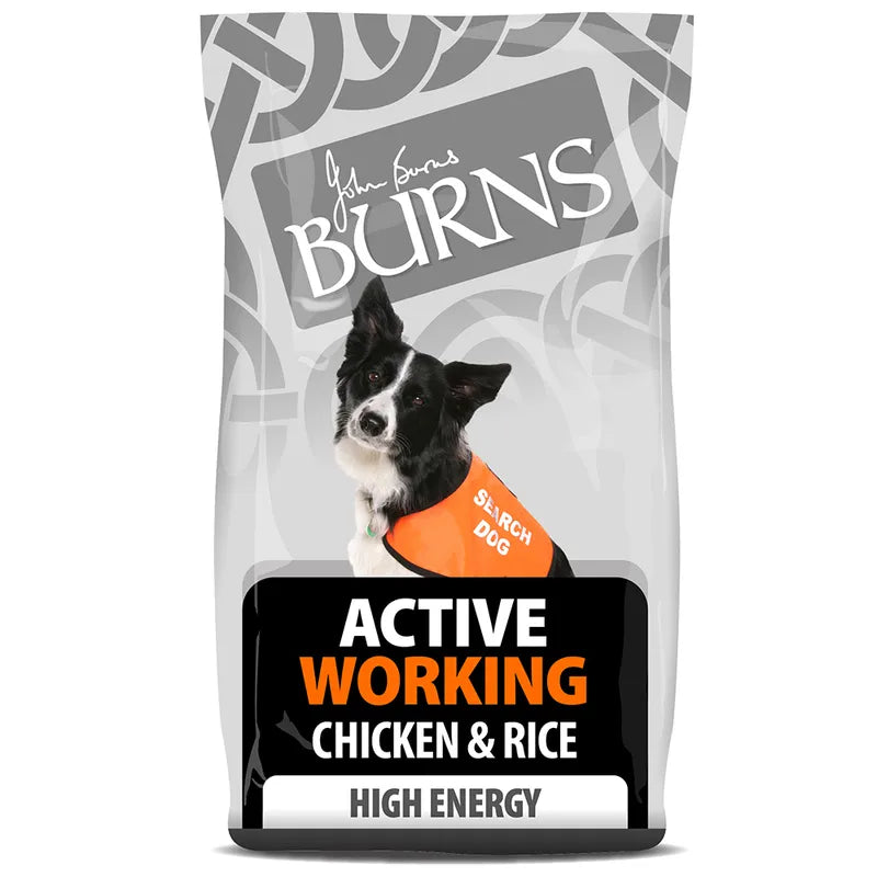 Burns Active Working - Chicken & Rice