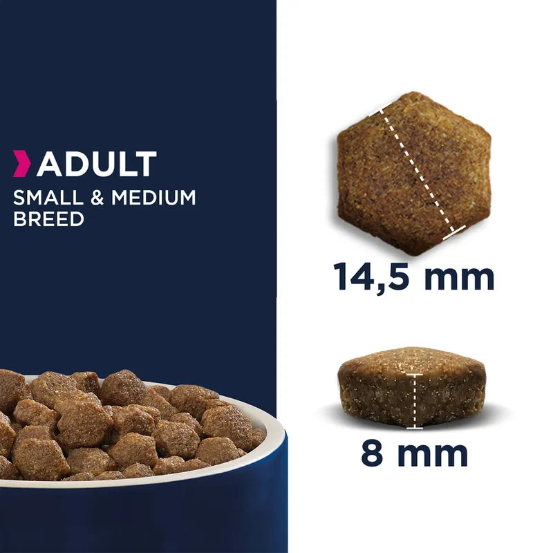 Eukanuba Adult Small & Medium Breed Salmon
