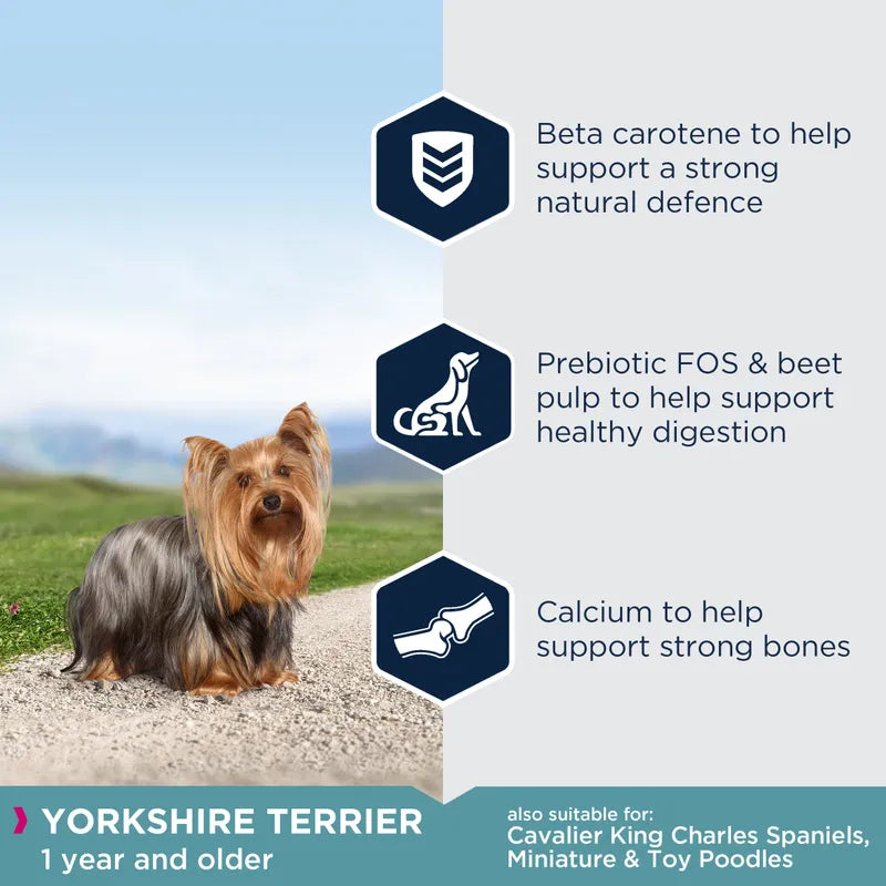 Eukanuba Yorkshire Terrier Adult