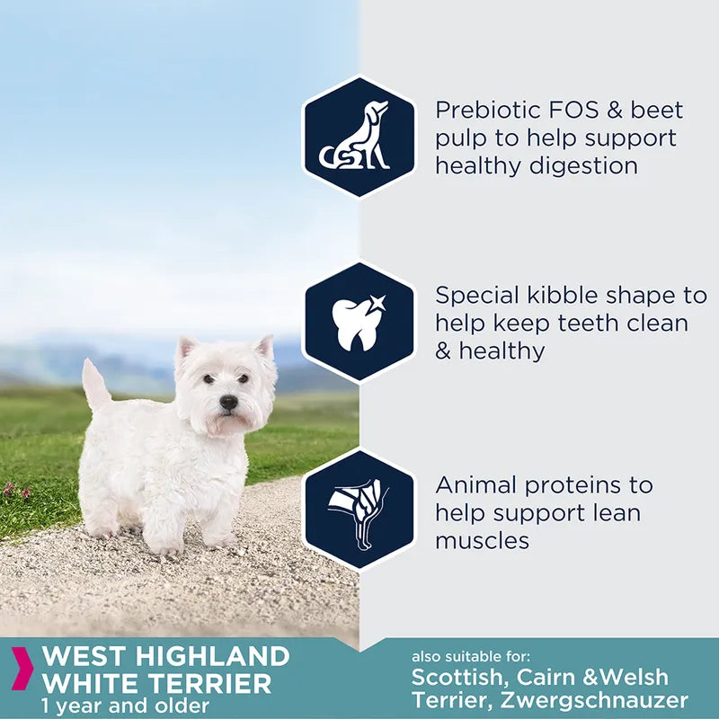 Eukanuba West Highland White Terrier Adult