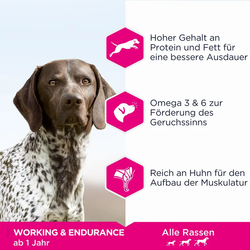 Eukanuba Daily Care Adult Working & Endurance