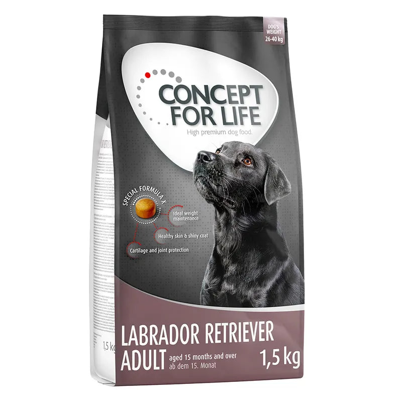 Concept for Life Labrador Retriever Adult