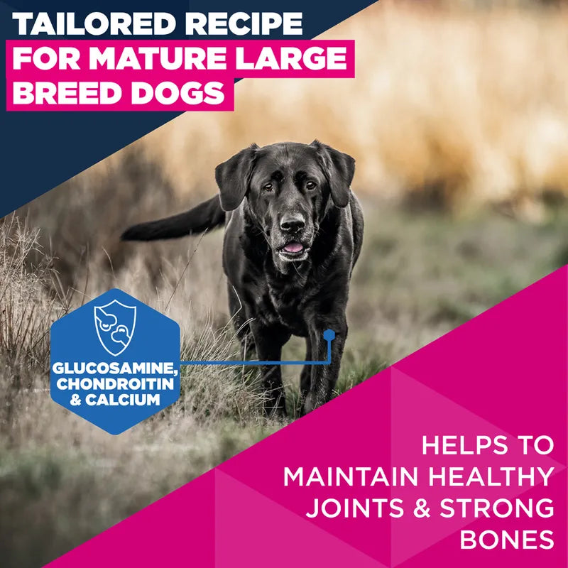 Eukanuba Premium Nutrition Mature Large & Giant Breed Chicken