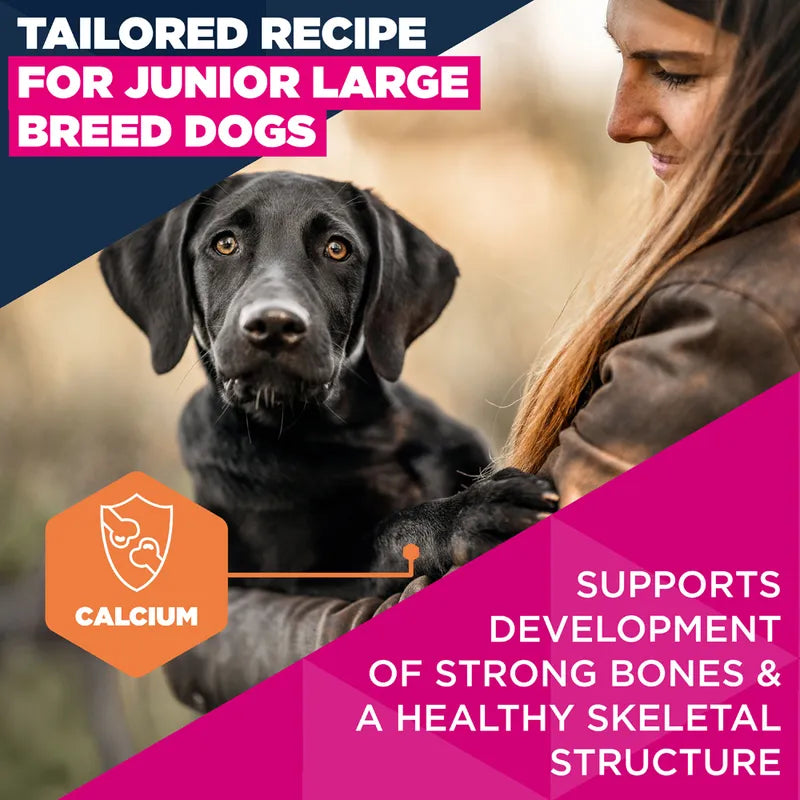 Eukanuba Premium Nutrition Junior Large & Giant Breed Chicken