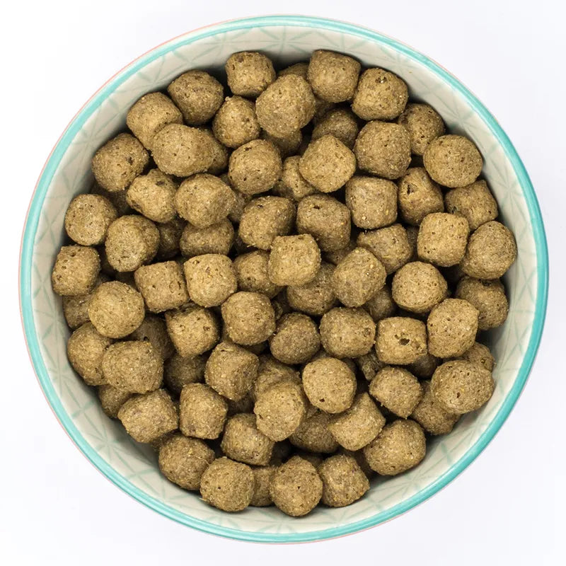 Burns Adult & Senior Original - Fish & Brown Rice