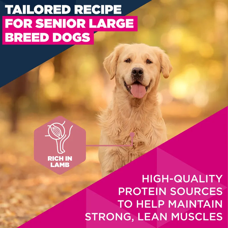 Eukanuba Premium Nutrition Senior Large & Giant Breed Lamb & Rice