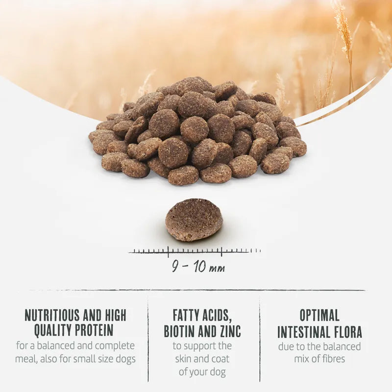 Briantos Adult Mini Grain-Free Salmon & Potato