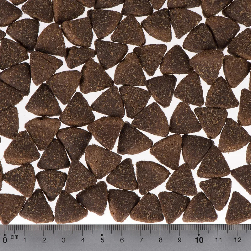 Briantos Adult Active