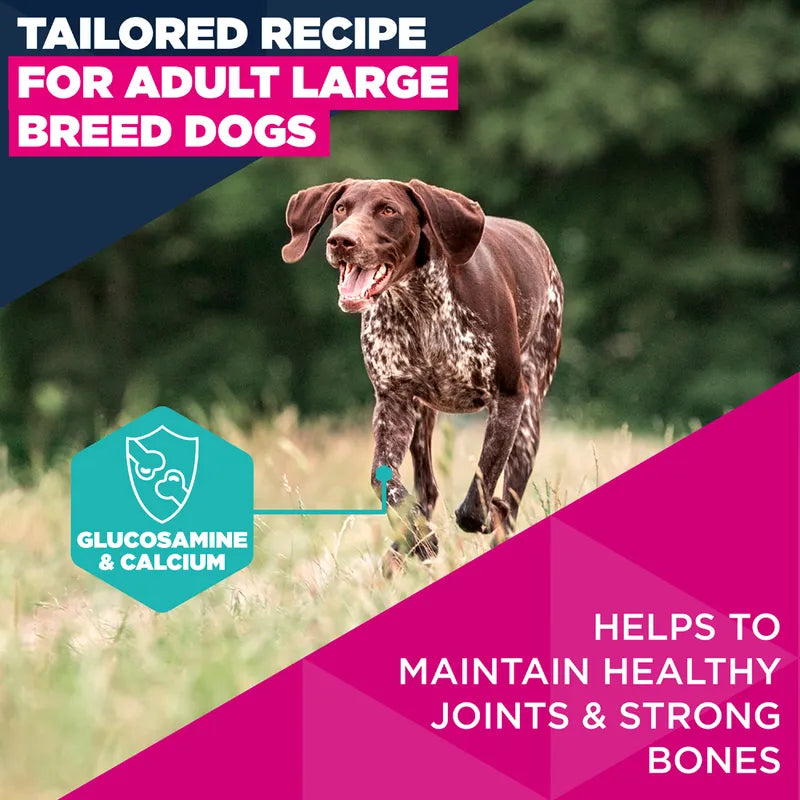 Eukanuba Premium Nutrition Adult Large & Giant Breed Salmon