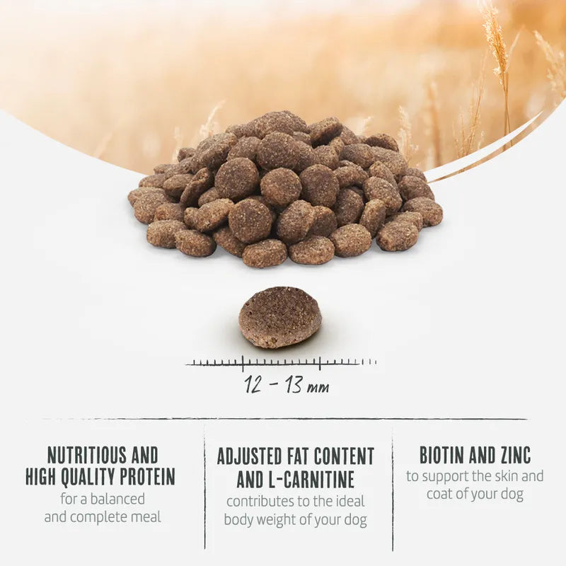 Briantos Adult Light/Sterilised Grain-Free Turkey & Potato