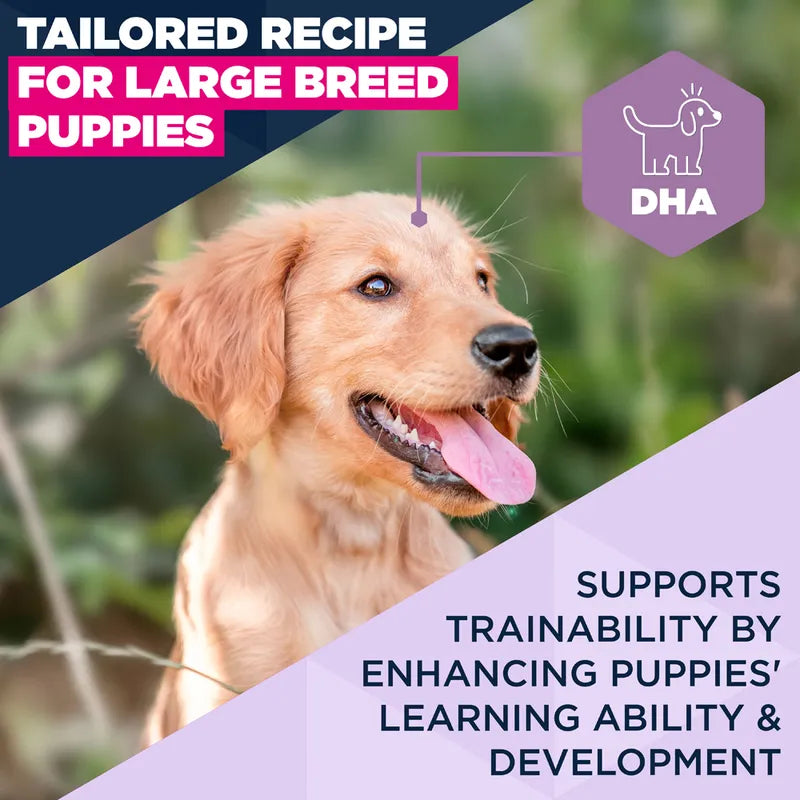 Eukanuba Premium Nutrition Puppy Large & Giant Breed Lamb & Rice