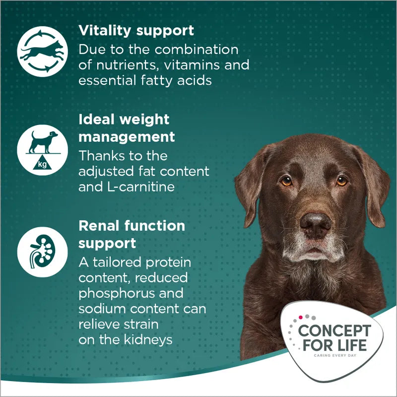 Concept for Life Large Senior