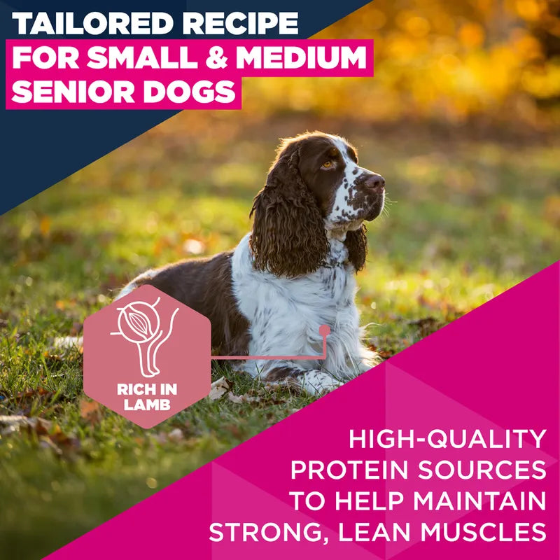 Eukanuba Premium Nutrition Senior Small & Medium Breed Lamb & Rice