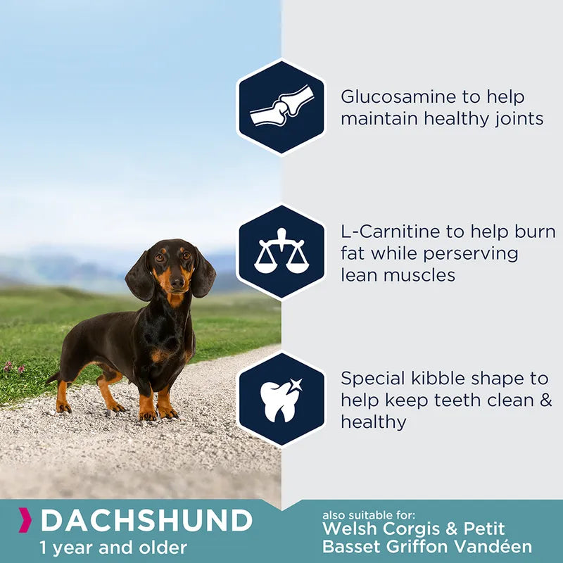 Eukanuba Dachshund Adult