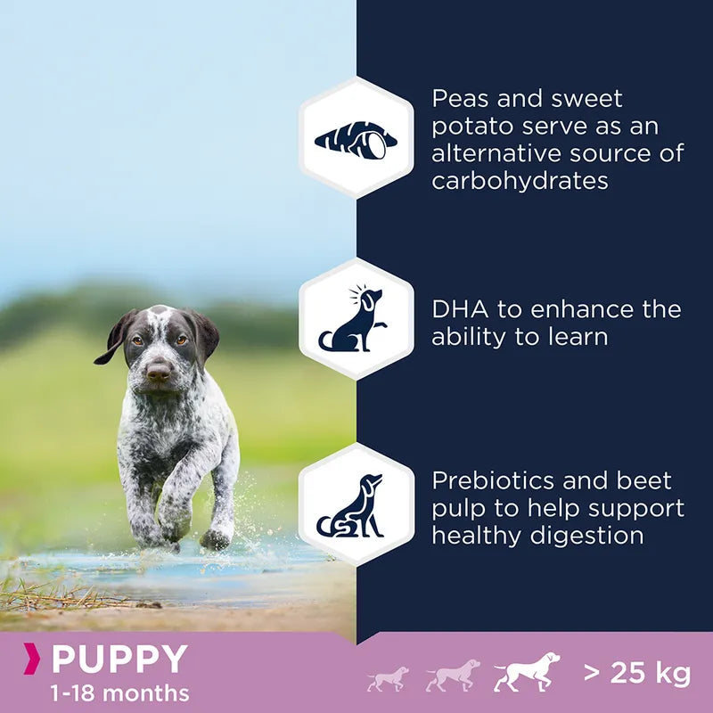 Eukanuba Grain Free Large Breed Puppy with Ocean Fish