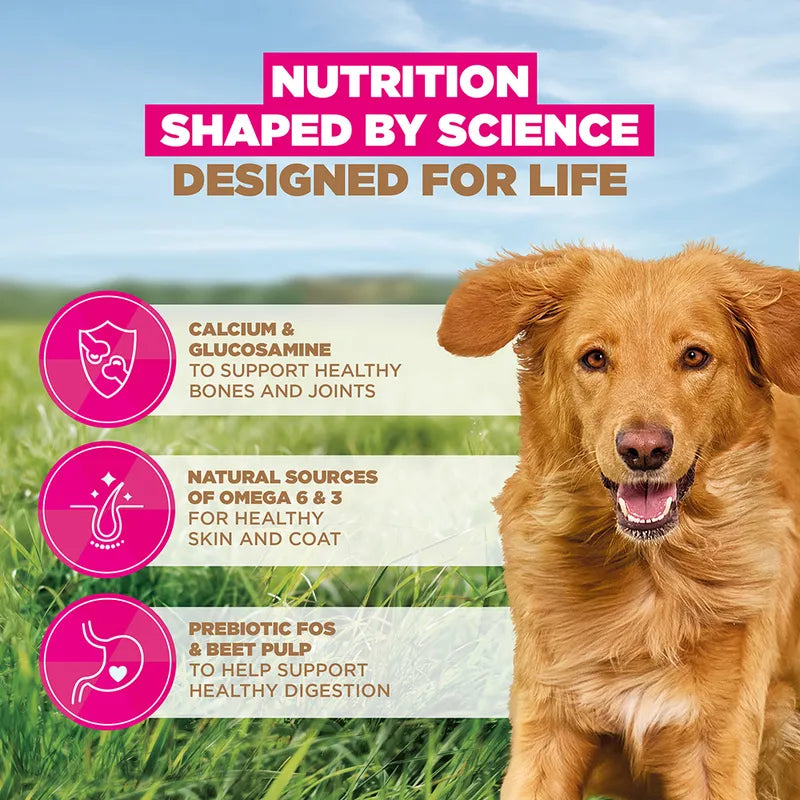 Eukanuba Grain-Free Adult Large & Giant Breed Lamb