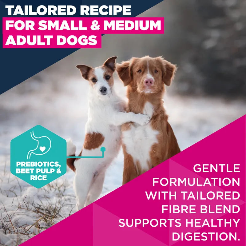 Eukanuba Premium Nutrition Adult Small & Medium Breed Lamb & Rice