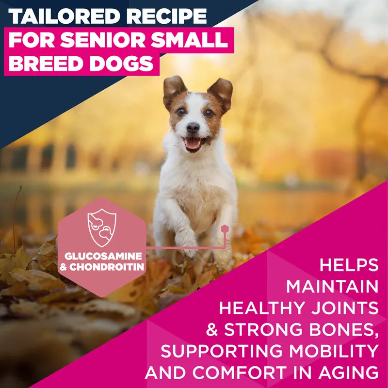 Eukanuba Premium Nutrition Senior Small Breed Chicken