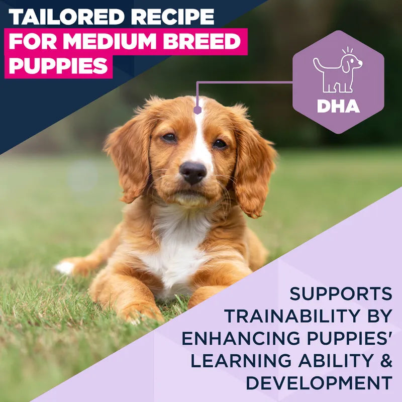 Eukanuba Premium Nutrition Puppy Medium Breed Chicken