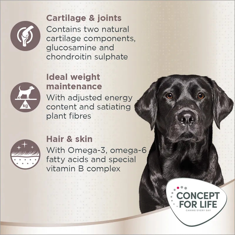Concept for Life Labrador Retriever Adult