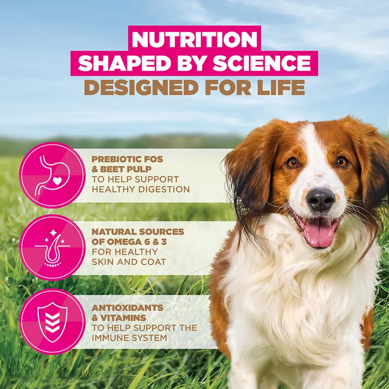 Eukanuba Grain-Free Adult Small & Medium Breed Lamb