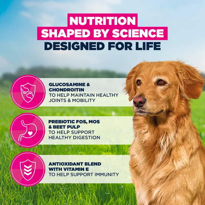 Eukanuba Premium Nutrition Senior Large & Giant Breed Lamb & Rice