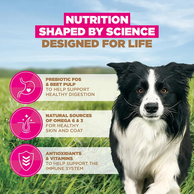 Eukanuba Grain-Free Adult Small & Medium Breed Chicken