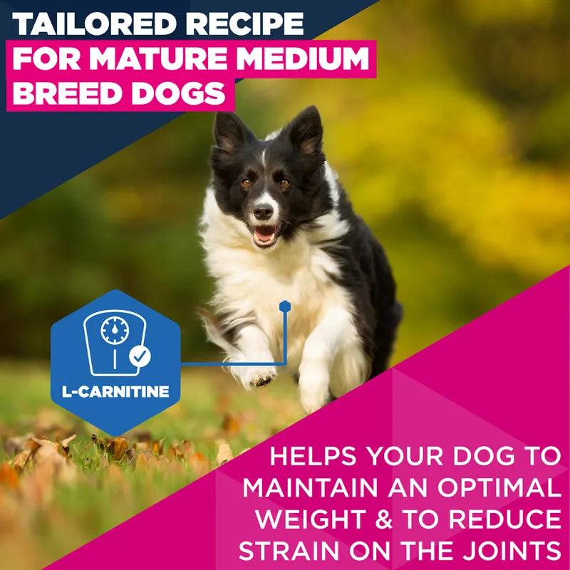 Eukanuba Premium Nutrition Mature Medium Breed Chicken