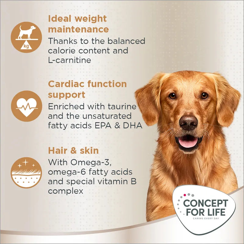 Concept for Life Golden Retriever Adult
