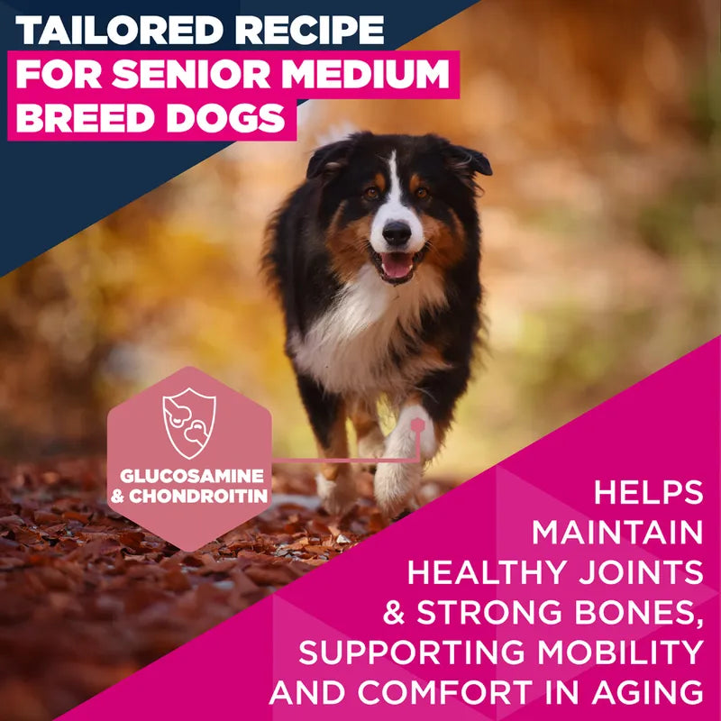 Eukanuba Premium Nutrition Senior Medium Breed Chicken