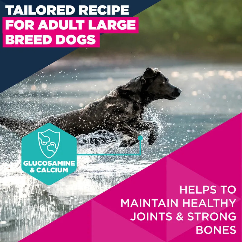 Eukanuba Premium Nutrition Adult Large & Giant Breed Chicken