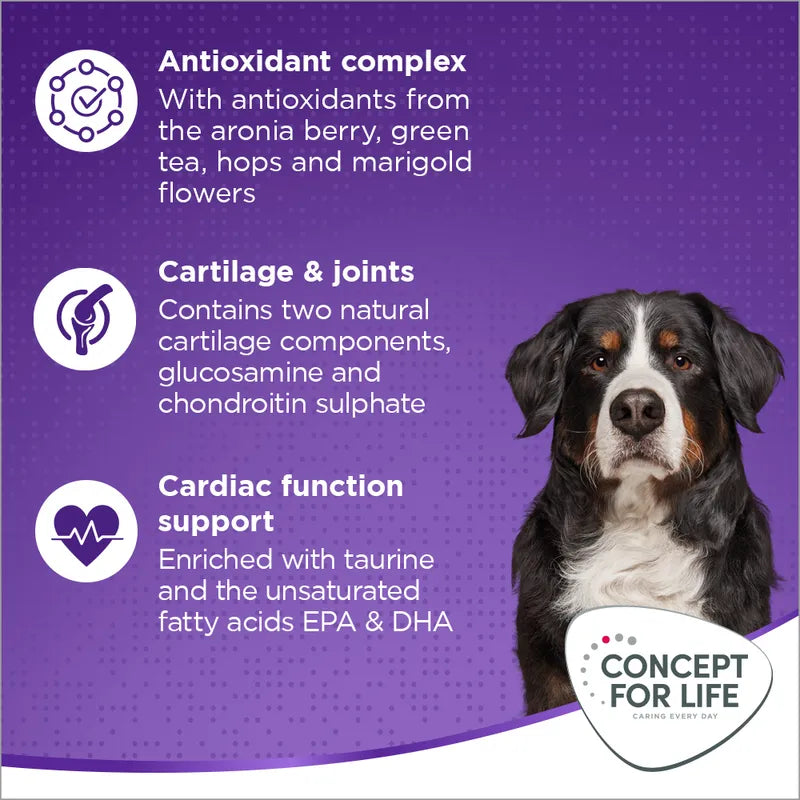 Concept for Life X-Large Adult