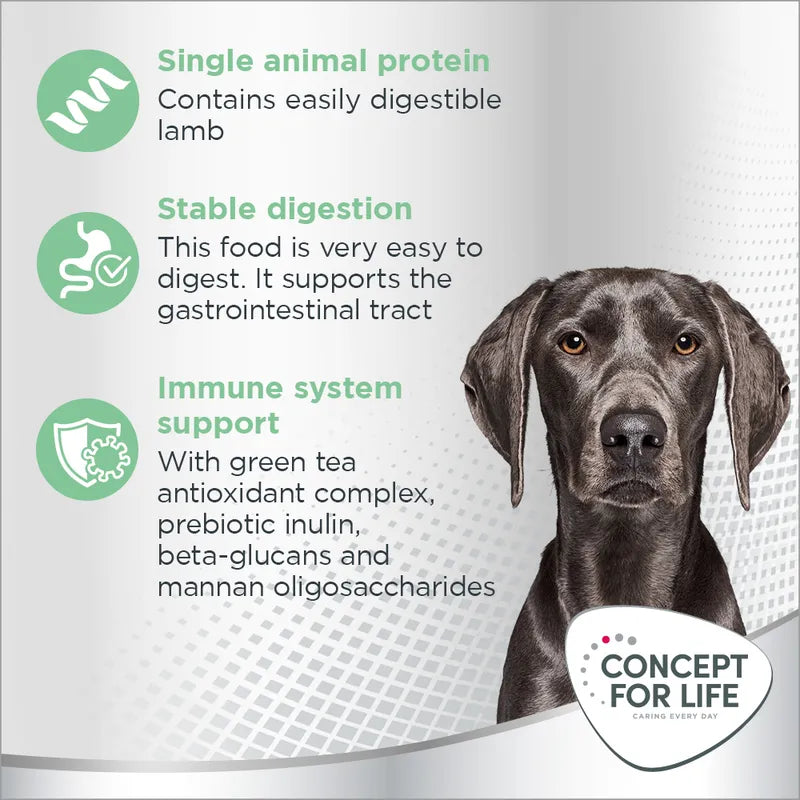 Concept for Life Large Sensitive