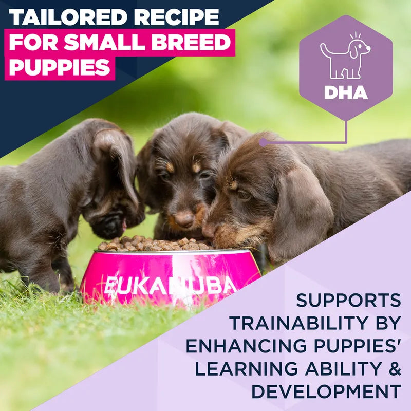 Eukanuba Premium Nutrition Puppy Small Breed Chicken