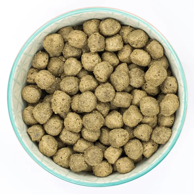 Burns Adult & Senior Sensitive Pork & Potato