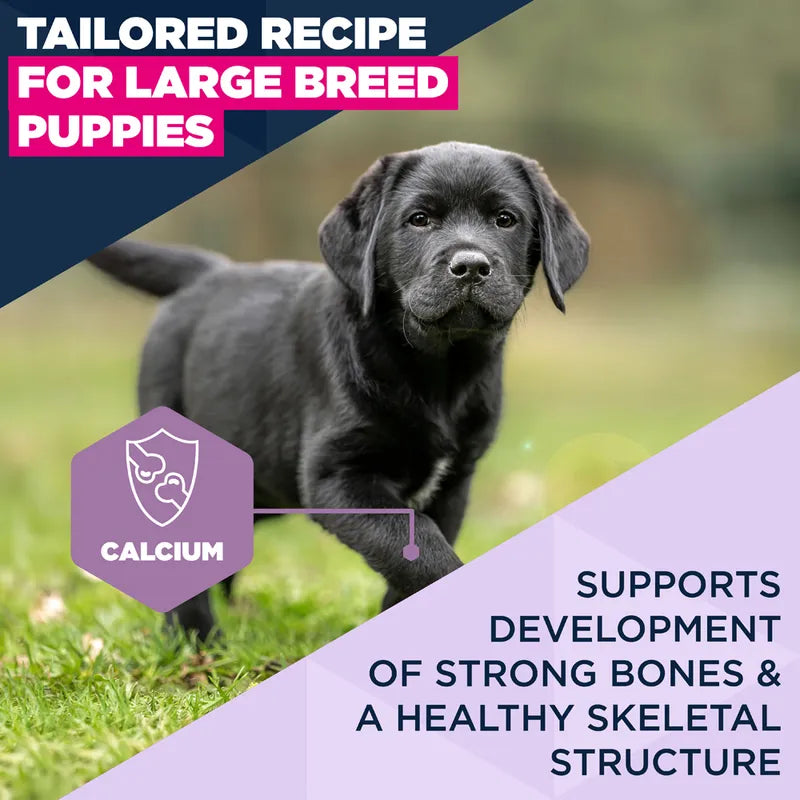 Eukanuba Premium Nutrition Puppy Large & Giant Breed Chicken