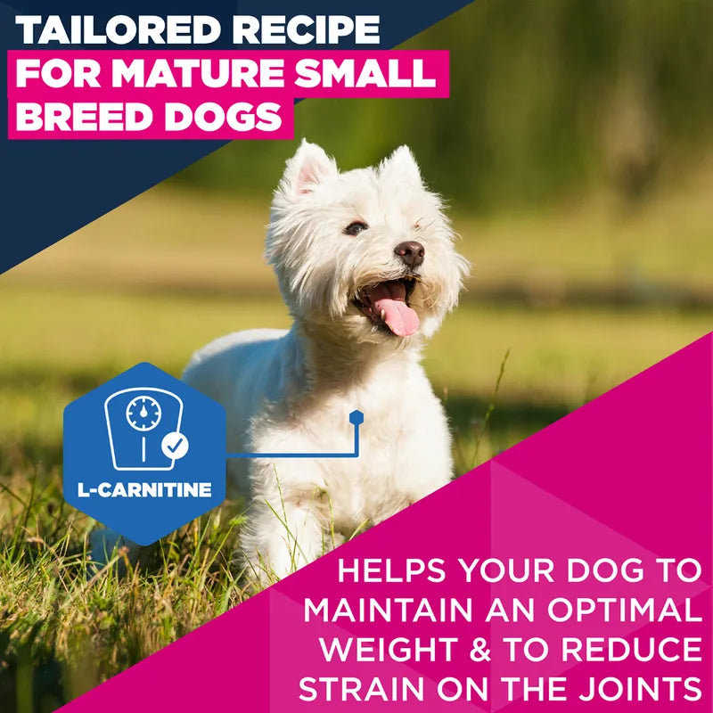 Eukanuba Premium Nutrition Mature Small Breed Chicken