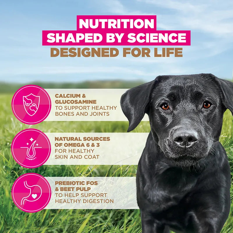 Eukanuba Grain-Free Adult Large & Giant Breed Chicken