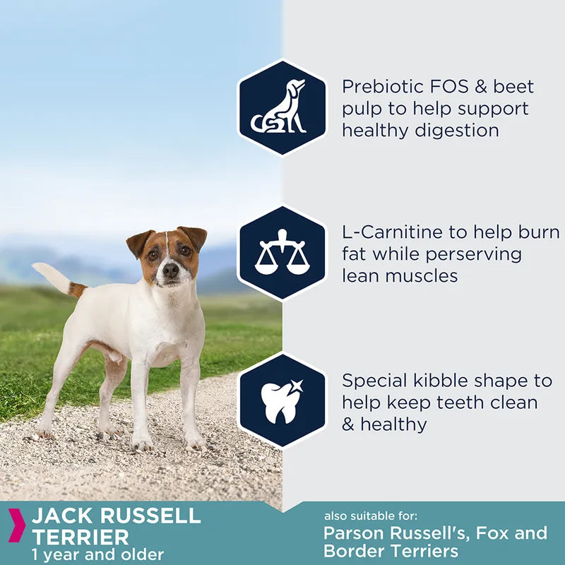 Eukanuba Jack Russell Terrier Adult